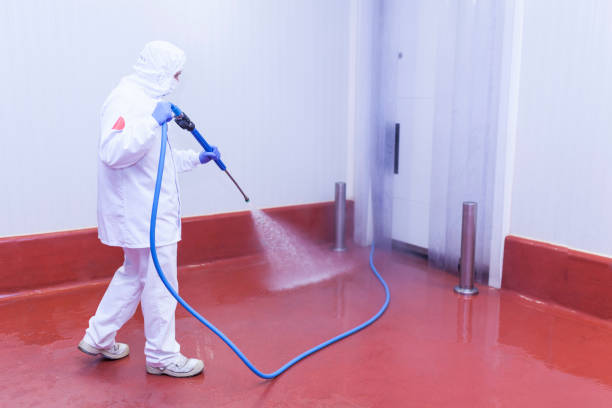 Best Warehouse Cleaning  in Rochester, MI